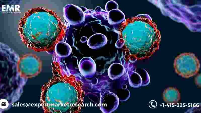 Cell Therapy Market Size
