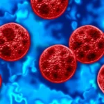 Illustration of Cyclospora parasites on a blue background representing the nationwide produce recall