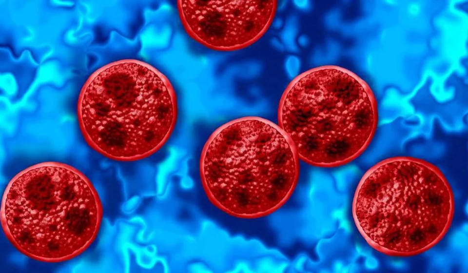 FDA Expands Multi-State Cyclospora Parasite Recall Across 27 States Illustration of Cyclospora parasites on a blue background representing the nationwide produce recall