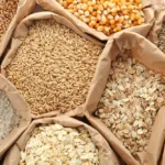 Paper bags filled with wheat, rice, oats, corn, and grains displayed for global food security efforts.