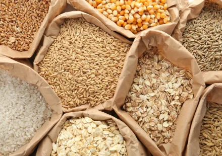 Paper bags filled with wheat, rice, oats, corn, and grains displayed for global food security efforts.