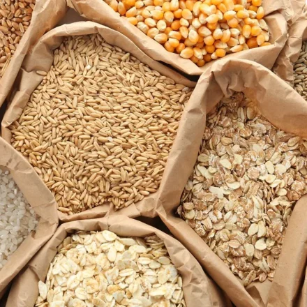 Paper bags filled with wheat, rice, oats, corn, and grains displayed for global food security efforts.