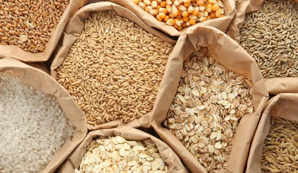 Paper bags filled with wheat, rice, oats, corn, and grains displayed for global food security efforts.