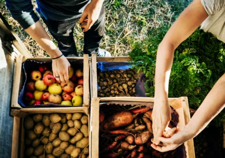 People selecting fresh local produce from wooden crates at a farmers market under warm morning sunlight.