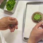 Chef carefully plating an elegant Mexican fine dining dish before service at a Michelin star restaurant.