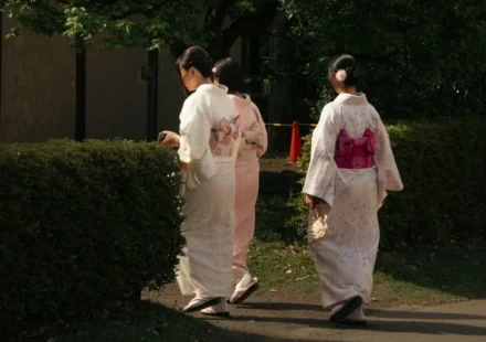 Japanese women wearing traditional kimonos walk through a peaceful park, reflecting cultural heritage.