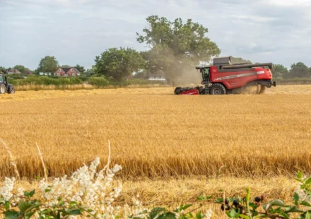 A combine harvests a dry golden field as dust rises under hot European summer sky near rural houses.