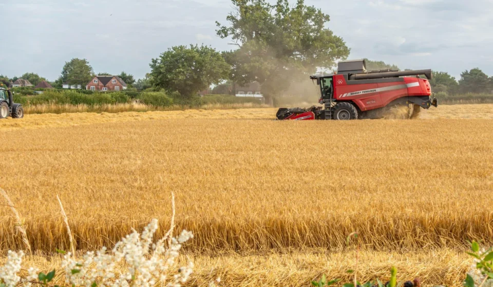 A combine harvests a dry golden field as dust rises under hot European summer sky near rural houses.