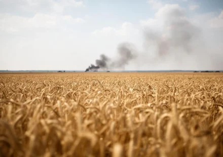 Golden wheat fields stretch beneath a hazy sky, with smoke rising on the distant horizon in summer.