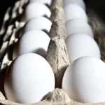 White eggs arranged in cardboard carton, highlighting the shell egg recall and food safety concerns.