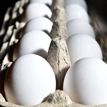 White eggs arranged in cardboard carton, highlighting the shell egg recall and food safety concerns.