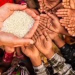 People reach out with empty hands toward a bowl of rice, highlighting hunger and food insecurity.