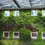 Biophilic green wall inside a modern energy efficient building with natural light and indoor plants design