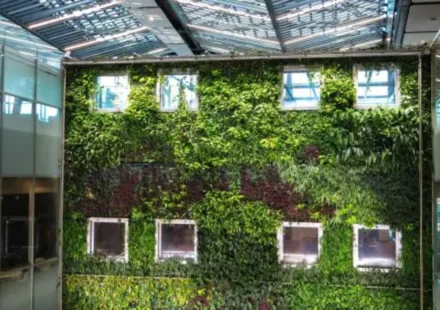 Biophilic green wall inside a modern energy efficient building with natural light and indoor plants design
