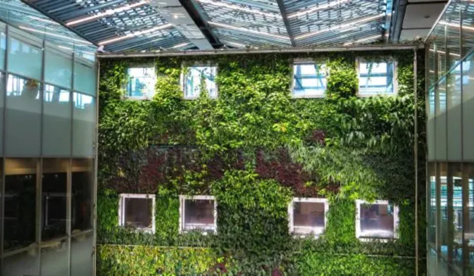 Biophilic green wall inside a modern energy efficient building with natural light and indoor plants design