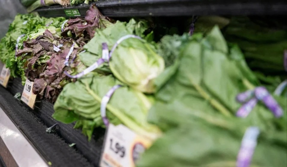 US Parasitic Outbreak Linked to Fast-Food Produce Causes Fatalities Fresh iceberg lettuce displayed in a grocery produce section amid Cyclospora outbreak concerns in the US.